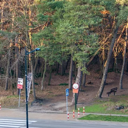 Matik I Karwia